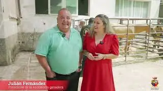 CHILLUÉVAR - Feria del Ganado 2024
