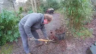 Clearing leaves 07 01 25