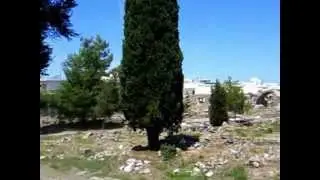 Ancient ruins in Kos Greece 2012