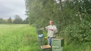 Biavler tricks varroa