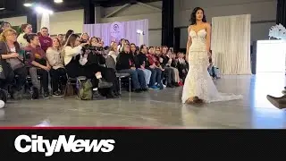 Love & tariffs: how trade disputes are affecting wedding planning