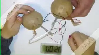 Saving energy! Battery by Potatoes