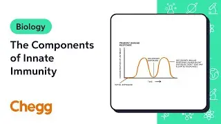 The Components of Innate Immunity | Biology