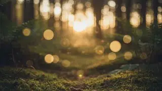 GROUNDING | Forest Floor: 396Hz Solfeggio Frequency + Warm Brown Noise for Anxiety & Rooted Calm