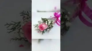 Dps For Whatsapp | Flower Dps for Whatsapp | Latest Dps | Beautiful Flower Dp Pics #Dps #Flowerpics