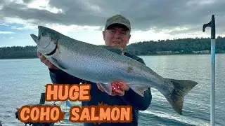 Puget Sound Coho Fishing 2024
