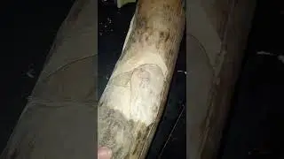 Totem 3: Raven