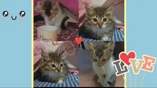 A day with my babies min min and pu