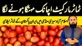 Tomato Market Become Expensive 🔥🔥| Sabzi Mandi Islamabad | 21 November 2025 Tomato Update 