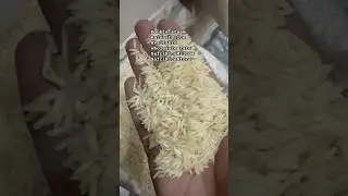 Export quality rice in Pakistan | Rice wholesale market in Pakistan | #safricemill #ricemarket