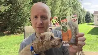 Nylabone Review