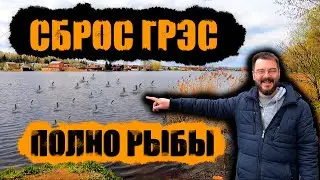 ЛОВИМ РЫБУ на СБРОСЕ ГРЭС || РЫБАЛКА на МОТЫЛЯ, ОПАРЫША и ЧЕРВЯ || РЫБАЛКА на ФИДЕР