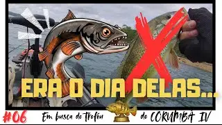 Quem n&atilde;o pega TUCUNA, ca&ccedil;a TRA&Iacute;RA... Pescaria Corumb&aacute; IV
