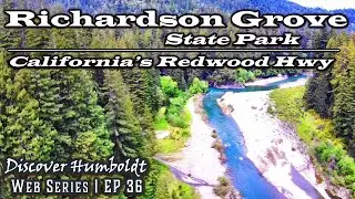 Discover Humboldt:  Richardson Grove State Park - California's Redwood Highway 101 | Ep 36