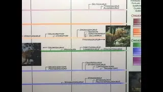 Timeline of The Dinosaurs