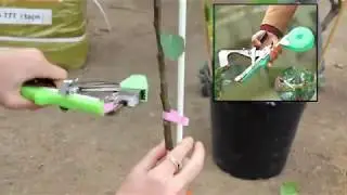 Инструмент для подвязки растений Tapetool