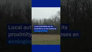 Mountain of rubbish dumped near UK village | DW News