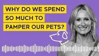 The Business Of Pets with Anneke van den Broek, Founder of Rufus & Coco