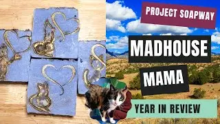 Year in Review, Madhouse Mama Style. Project Soapway Winner!