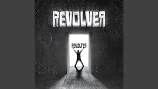 Revolter