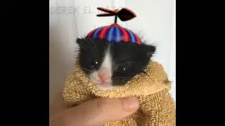 kitten in a towel meme (FNaF 2)