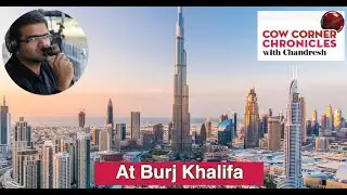 IPL 2020: Take a look at how crowds have come back to Dubai Mall and Burj Khalifa
