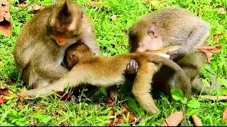 Big baby hungry mommy ignore , Baby screaming with mother canceling