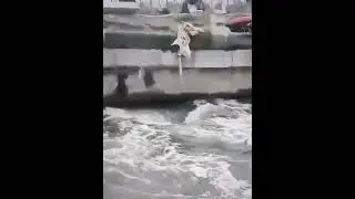 Heavy rains in Hyderabad heavy inflow  in Himayat sagar 4 g.ates opened. floodin Musi
