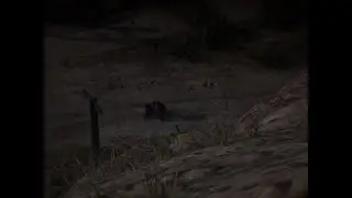 live badlands O zi la plantat