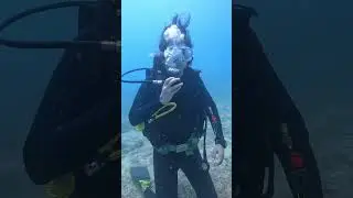 Open Water Diver Certification in Nha Trang, Vietnam #scubadiving #nhatrang