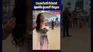 Poonam Pandey Heads To Dubai For Diwali Celebrations #youtubeshorts #shorts