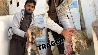 PLEASE PRAY FOR  TRAGER🤲💔