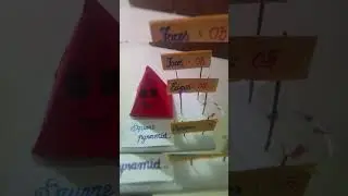 maths project/3D square pyramid#schoolproject#easymathsproject