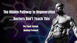 Superhuman (Pt1): The Hidden Science of Human Repair