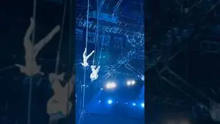 Amazing Aerial Performance! Trapeze Artists at the Circus! #circus #circuslife  #circusextreme
