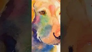 How to paint dog eyes- Labrador retriever watercolor tutorial tips