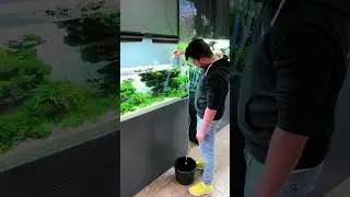 Clean your aquarium's bottom like you're waltzing, with Dennerle's Gravel Cleaner!💃 #ad