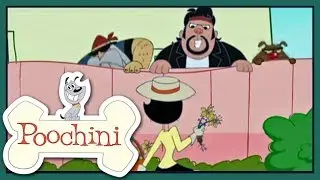 Poochini - Episode 11 - Pleasant Puppy Dreams