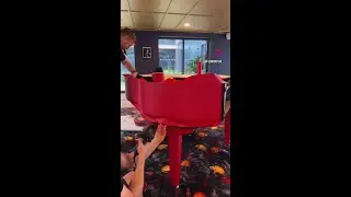 Vinyl Piano Wrap