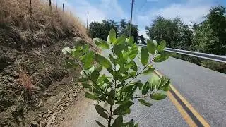 clearing gravel off a fast corner
