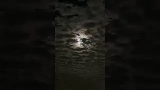 Moon behind the clouds&hellip; #bird #birds #nature #pond #wildlife #trail #wild #photography #viral #moon