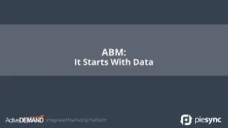 Importance of Data Integrity in Account Based Marketing