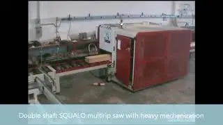 double arbor multirip saw for exotic woods - sega multilame bialbero con meccanizzazione esotico