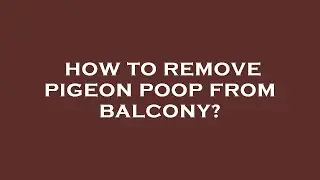 How to remove pigeon poop from balcony?