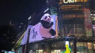 3587: Southwest China's Chengdu unveils lifelike 3D giant panda in spectacular outdoor display