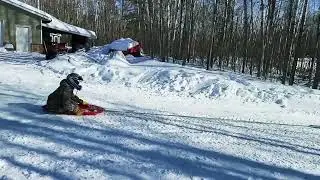JJ Sled Drifting!