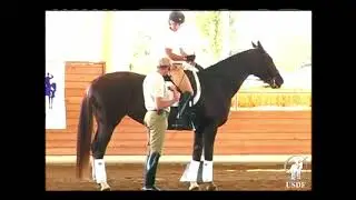 Tips for using the Whip with Jan Brink
