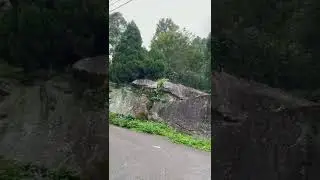 2022 Natural stone in deep mountain to use as a road divide.👀🪨🌳🌱🌿☘️🍀#taiwan #tribe #nature 😌