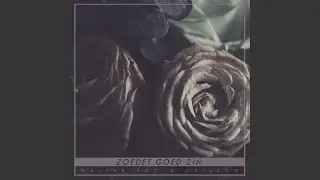 Zoedet Goed Zin (feat. Chillow)