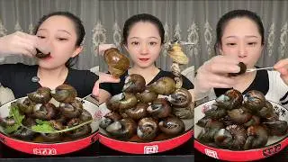 Eating Apple Snails 🔥 | Cooking Process & Recipe
